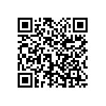 1111Y2K0P400DQT QRCode