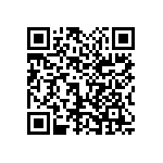1111Y2K0P700DQT QRCode