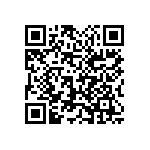 1111Y3000100JQT QRCode