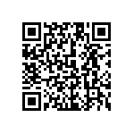 1111Y3000110KQT QRCode