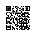 1111Y3000181KQT QRCode