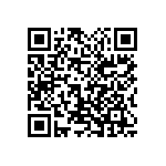 1111Y3000220KQT QRCode