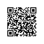 1111Y3000300JQT QRCode