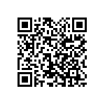 1111Y3000681KQT QRCode