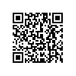 1111Y3000820KQT QRCode