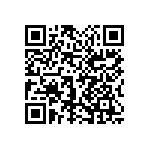 1111Y3001P10DQT QRCode