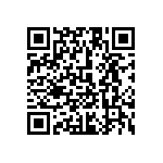 1111Y3001P30DQT QRCode