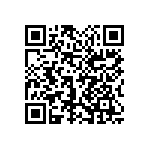 1111Y3001P40DQT QRCode