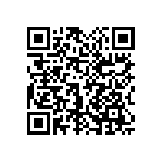 1111Y3001P60DQT QRCode