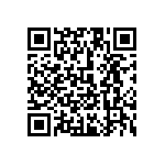 1111Y3001P70DQT QRCode