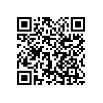 1111Y3001P80HQT QRCode