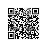 1111Y3002P20HQT QRCode