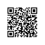 1111Y3006P20HQT QRCode