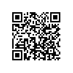 1111Y300P300DQT QRCode