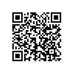 1111Y300P500DQT QRCode