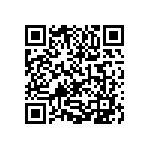 1111Y300P500HQT QRCode