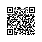1111Y300P600DQT QRCode