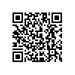 1111Y5001P20BQT QRCode