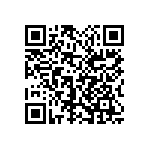 1111Y5002P40DQT QRCode