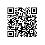 1111Y500P300BQT QRCode