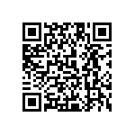 1111Y500P500DQT QRCode