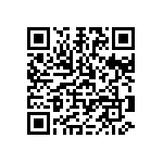 1111Y6301P30DQT QRCode