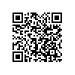 1111Y6303P30HQT QRCode