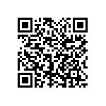 1111Y6303P90DQT QRCode