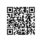 1111Y6304P00CQT QRCode