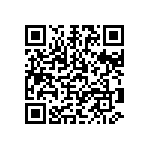 1111Y6304P00DQT QRCode