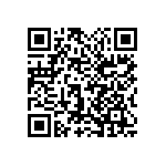 1111Y6304P30BQT QRCode