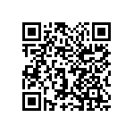 1111Y6305P10BQT QRCode