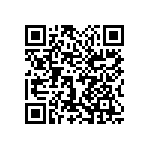 1111Y6305P60CQT QRCode