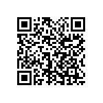 1111Y6306P20DQT QRCode