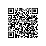 1111Y6306P20HQT QRCode