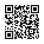 1113T253 QRCode