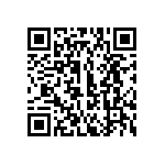 116-87-322-41-013101 QRCode