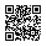 12-P10-30 QRCode