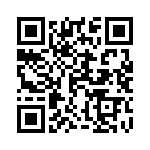 12065C104KAQ2A QRCode