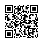 12065C223KAT4A QRCode