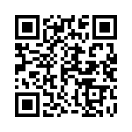 12065C393KHT1A QRCode