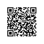 1206E333K101KHT QRCode