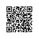 1206J0163P30BCR QRCode