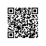 1206J0256P80BCT QRCode