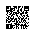 1206J0503P30DQT QRCode