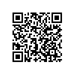 1206J1001P60BQT QRCode
