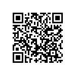 1206J100P900BQT QRCode