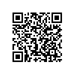1206J2001P30CQT QRCode