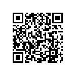 1206J2K04P00BQT QRCode