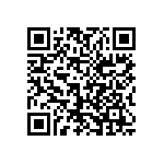 1206J3000160GQT QRCode